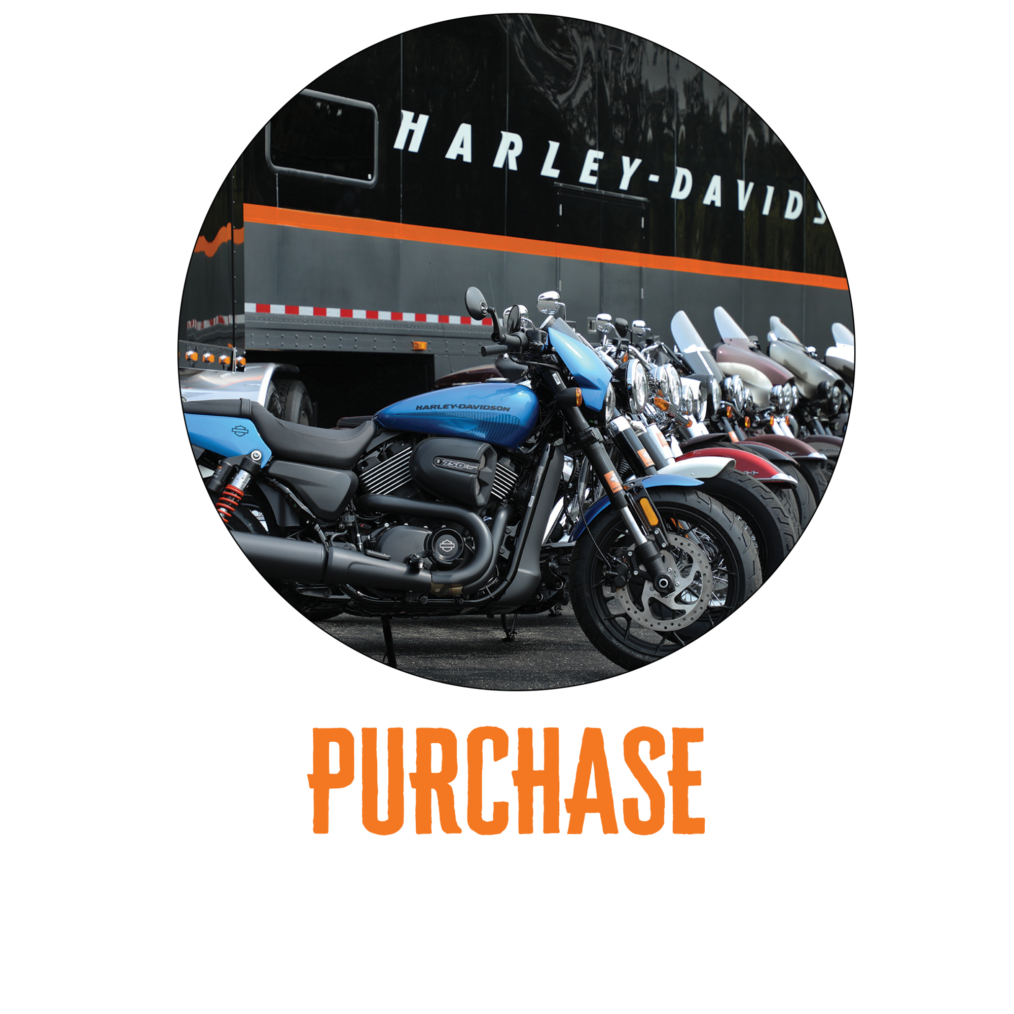 Harley davidson on sale buy back